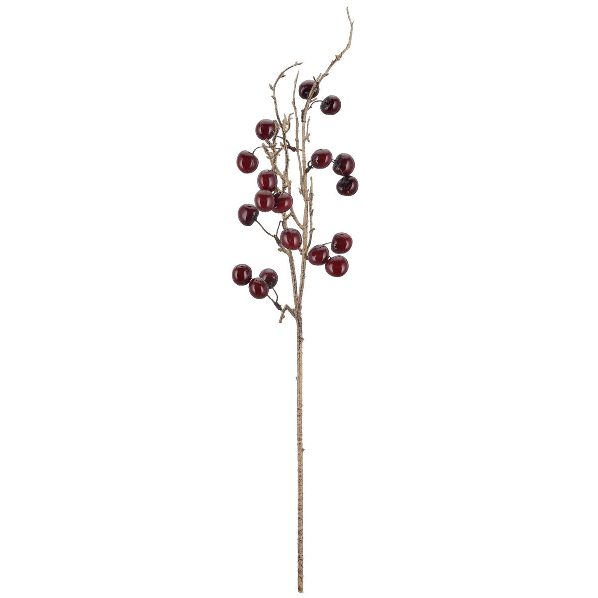 Kirsebærgren bordeaux – 78 cm