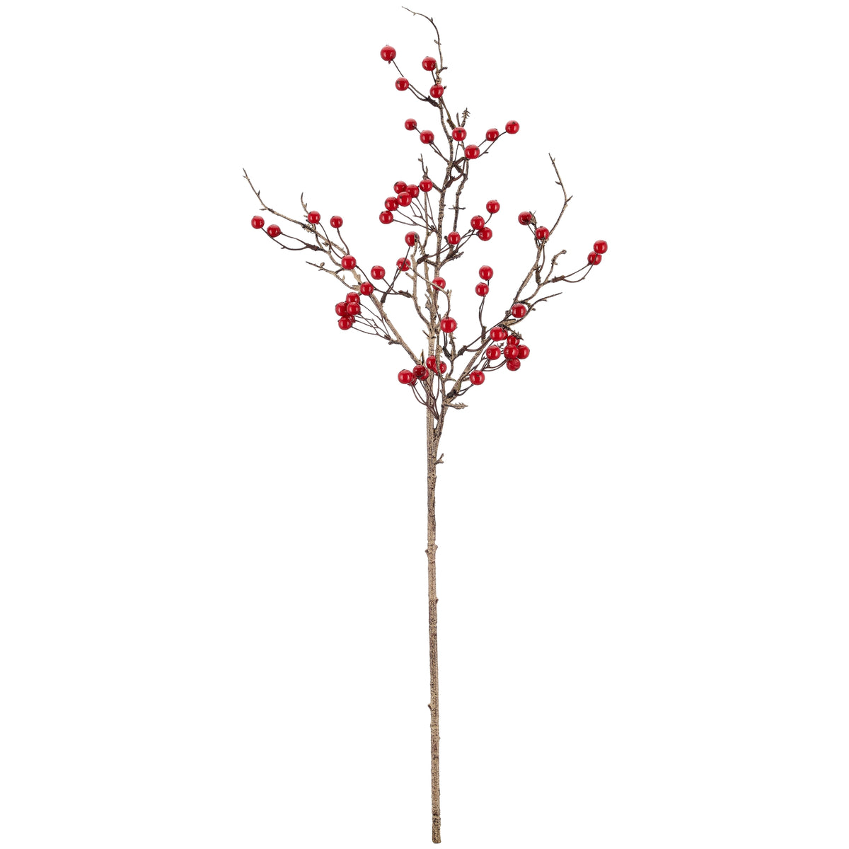 Ilexgren rød – 91 cm – Barbara
