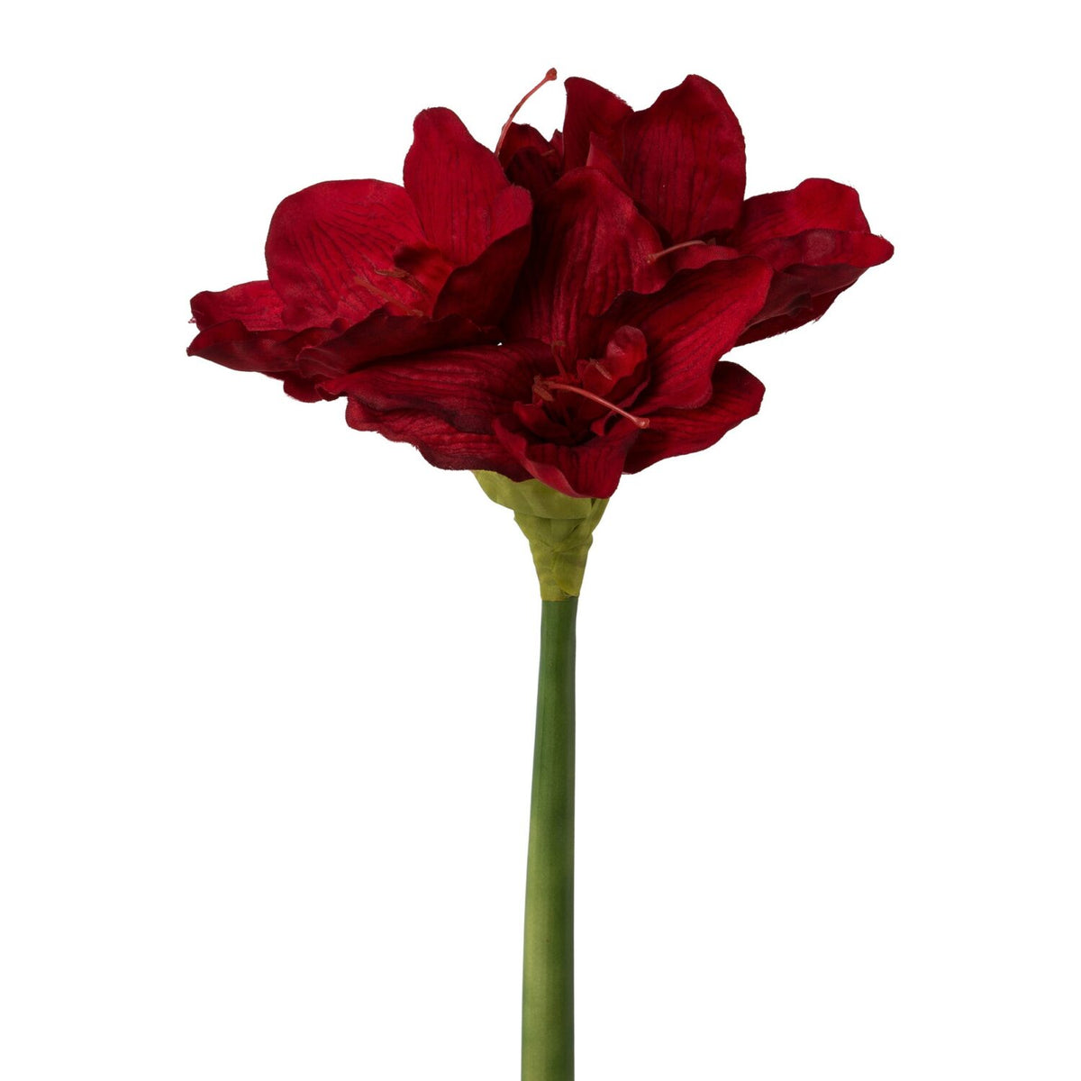 Amaryllis rød – 66 cm