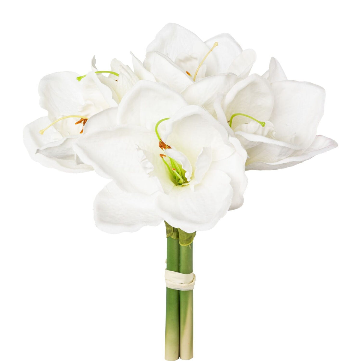Amaryllis 3 stk hvid bundt – 32 cm