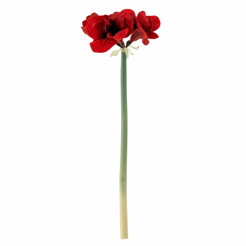 Amaryllis stilk – rød, 74 cm