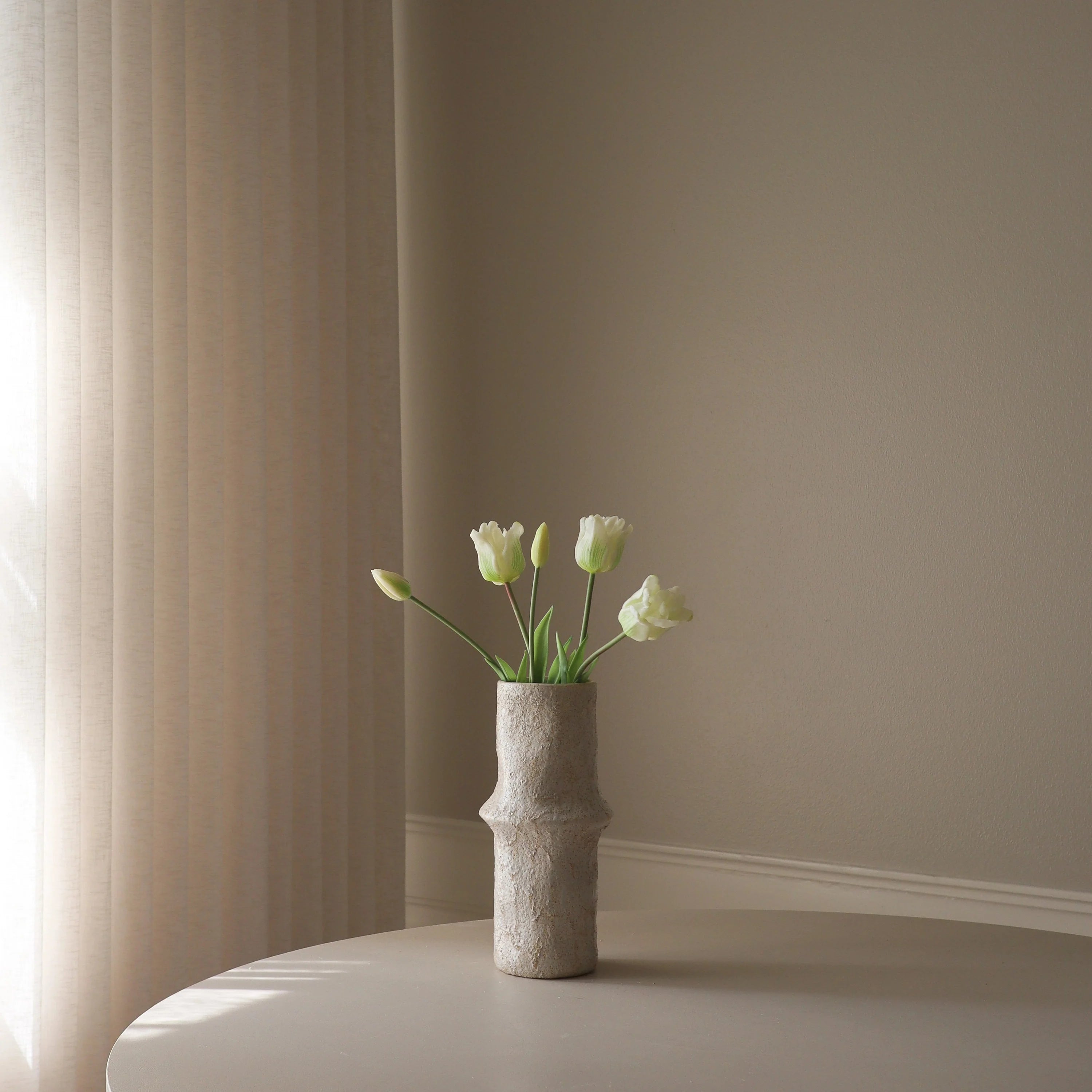 Hvide Triumph Tulipaner