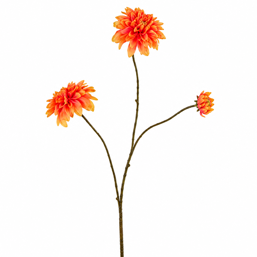 Dahlia sart orange H 80 cm