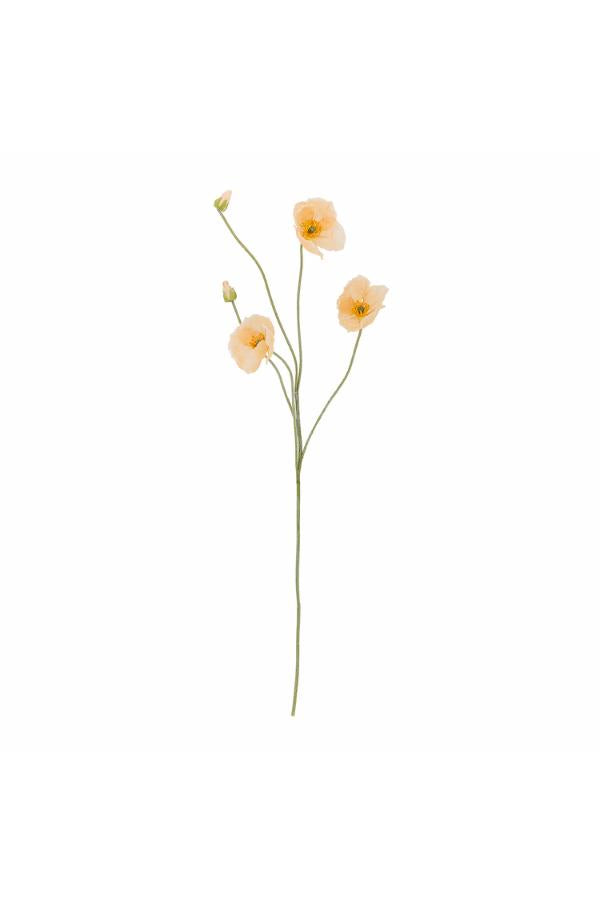 Poppy Stilk, Natur, Kunstige Blomster
