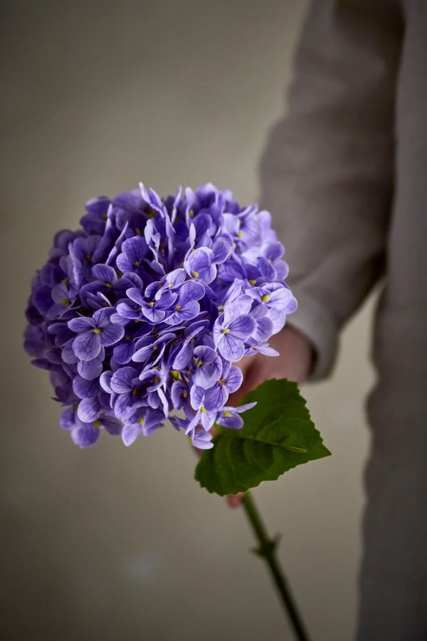 Hydrangea Stilk, Lilla, Kunstige Blomster