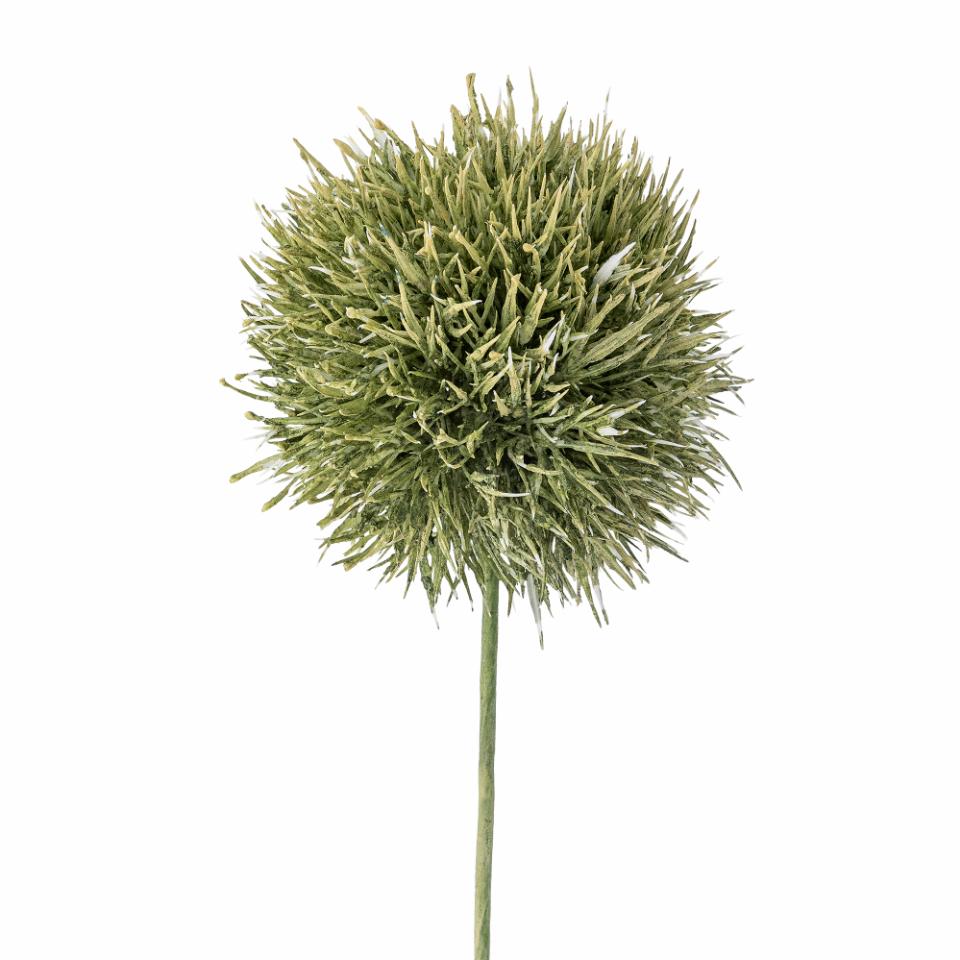Allium Stilk