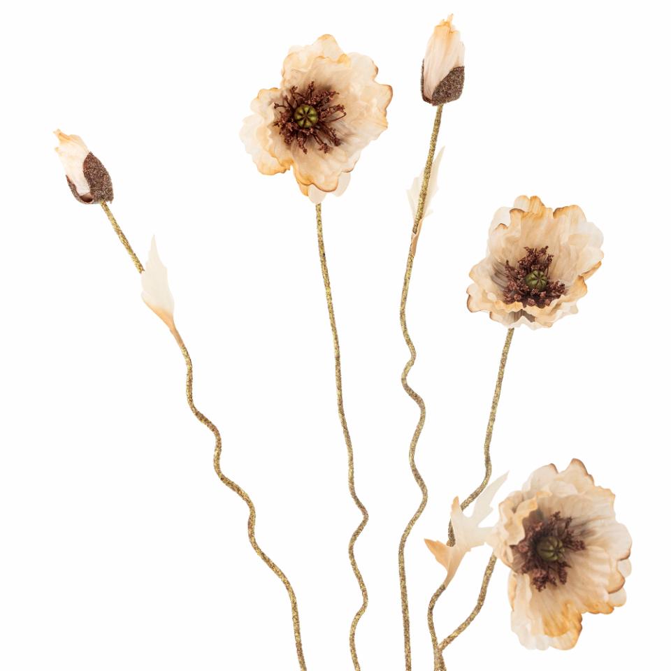 Poppy Stilk, Natur
