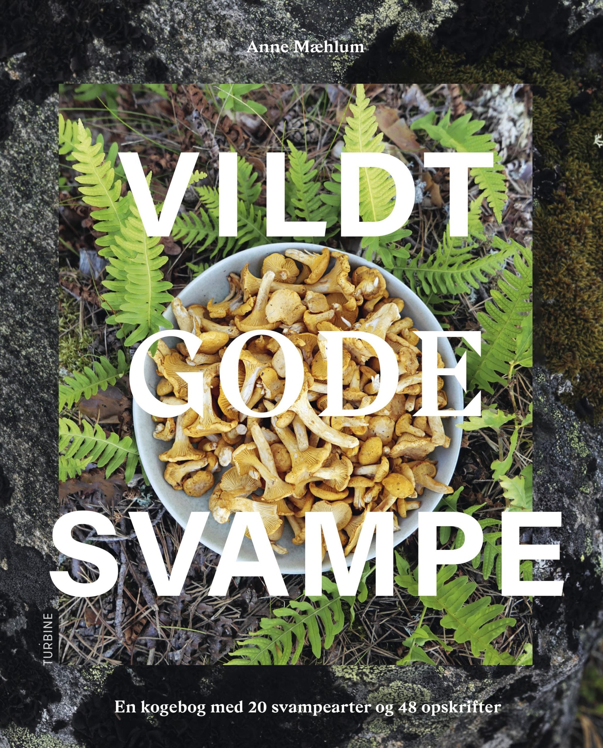 Vildt Gode Svampe
