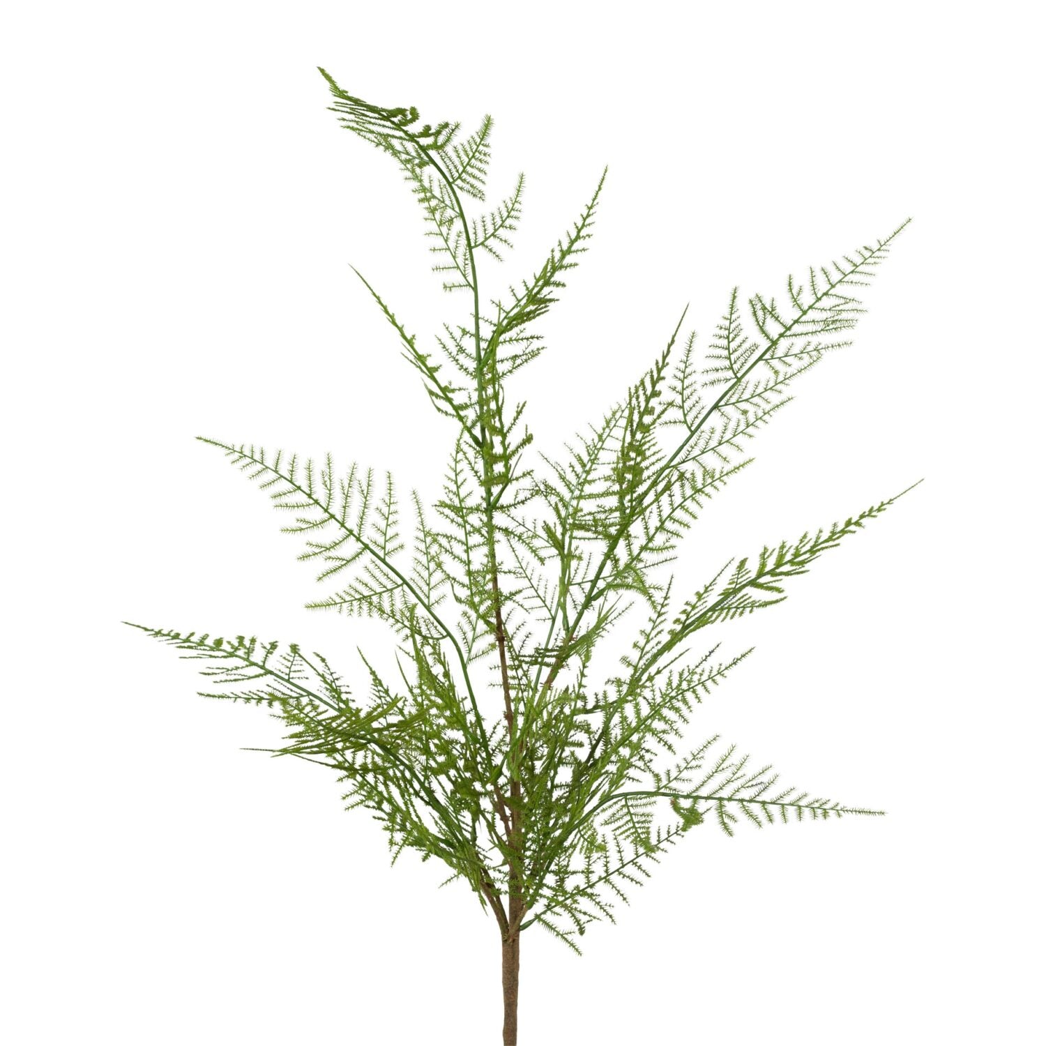 Bregne buket H 60 cm