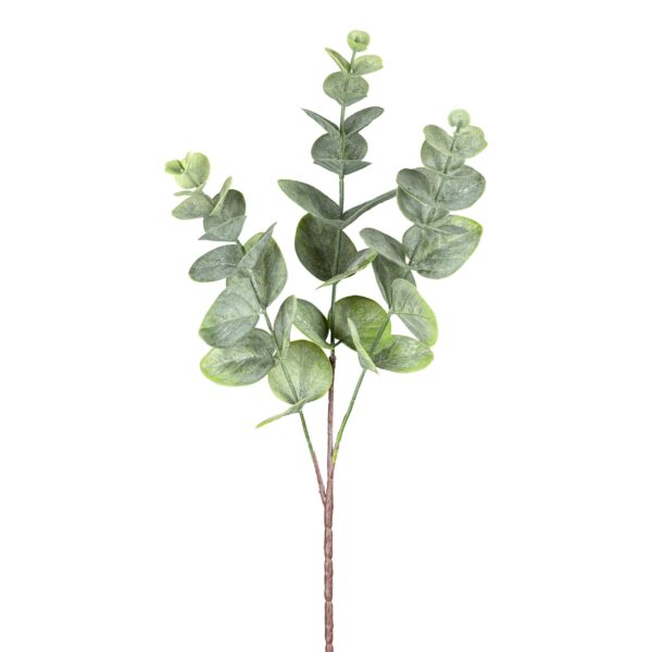 Eucalyptus støvet grøn H 50 cm