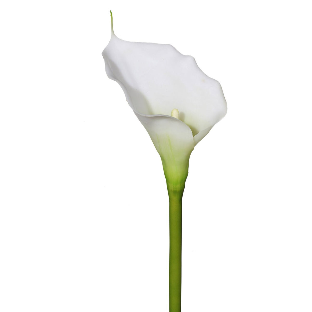 Calla hvid h 72 cm