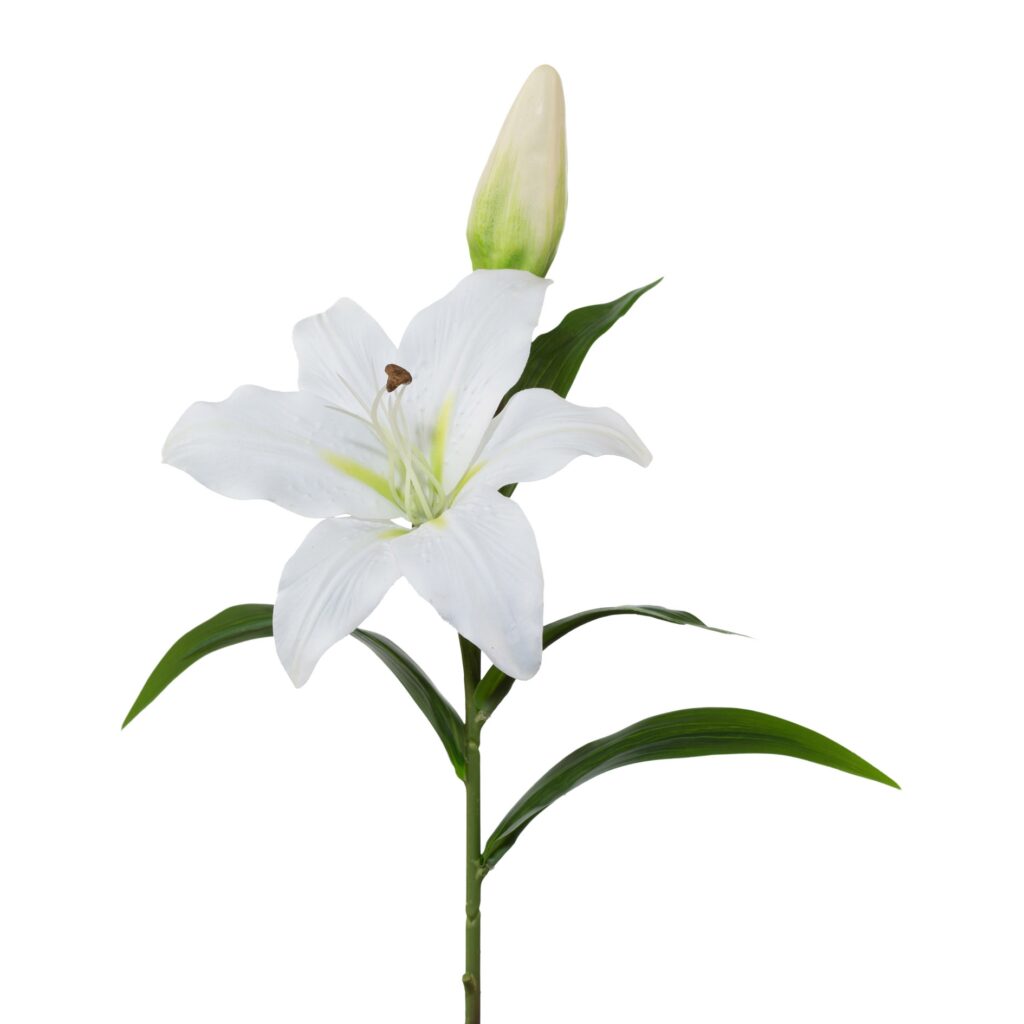 Lilje hvid real touch h 50 cm