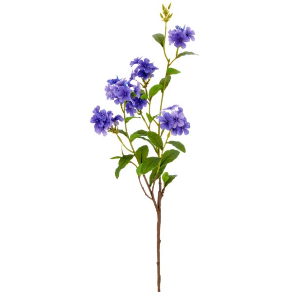 Plumbago gren lilla h 85cm