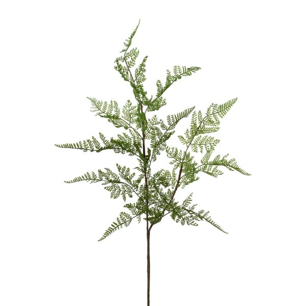 Bregne blad h 81 cm