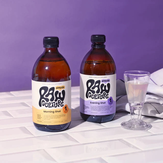 Kombucha Morning Shot Økologisk