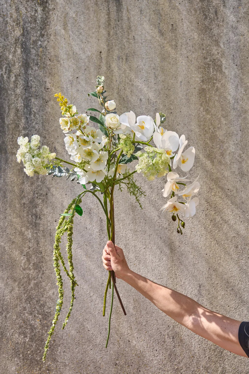 Eucalyptus 70cm