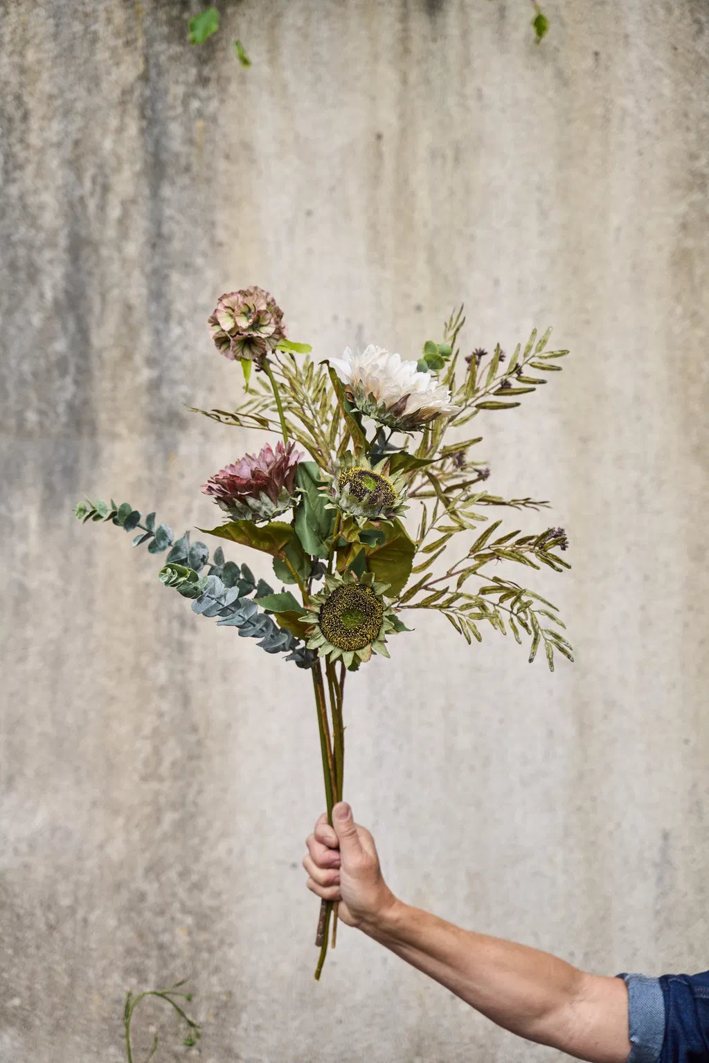 Eucalyptus 70cm