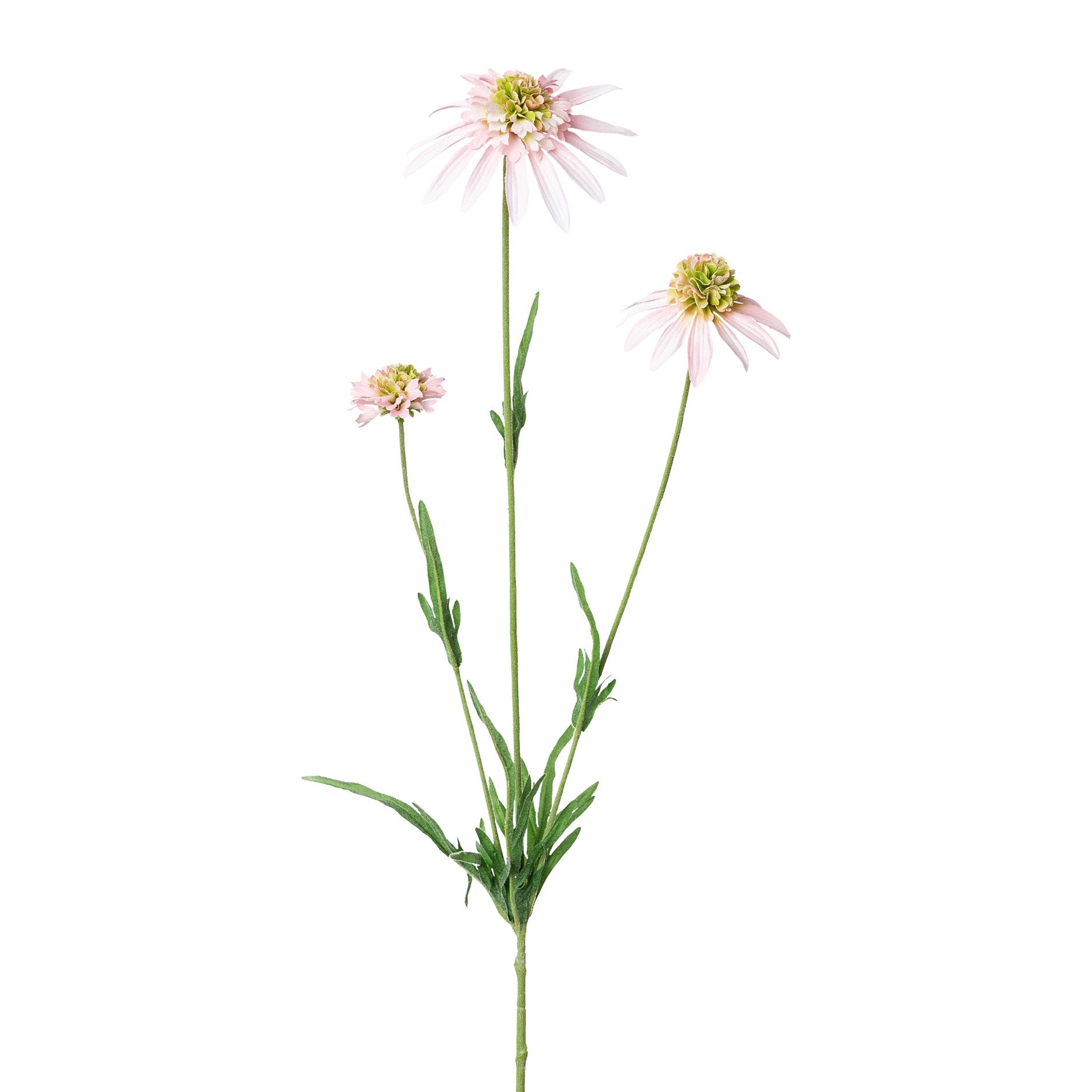 Solhat lys rosa h 65cm