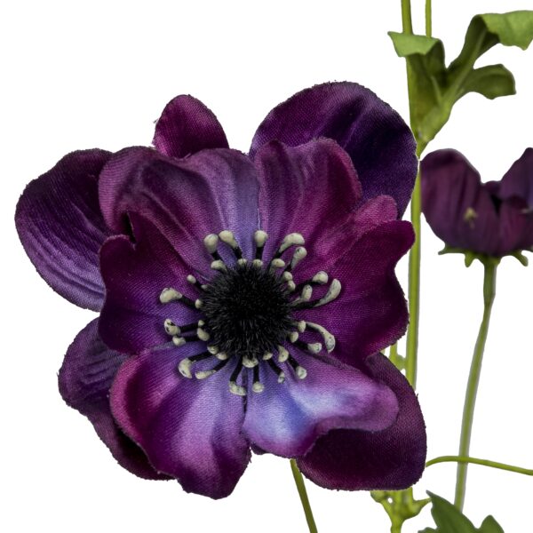 Anemone purple h 81 cm