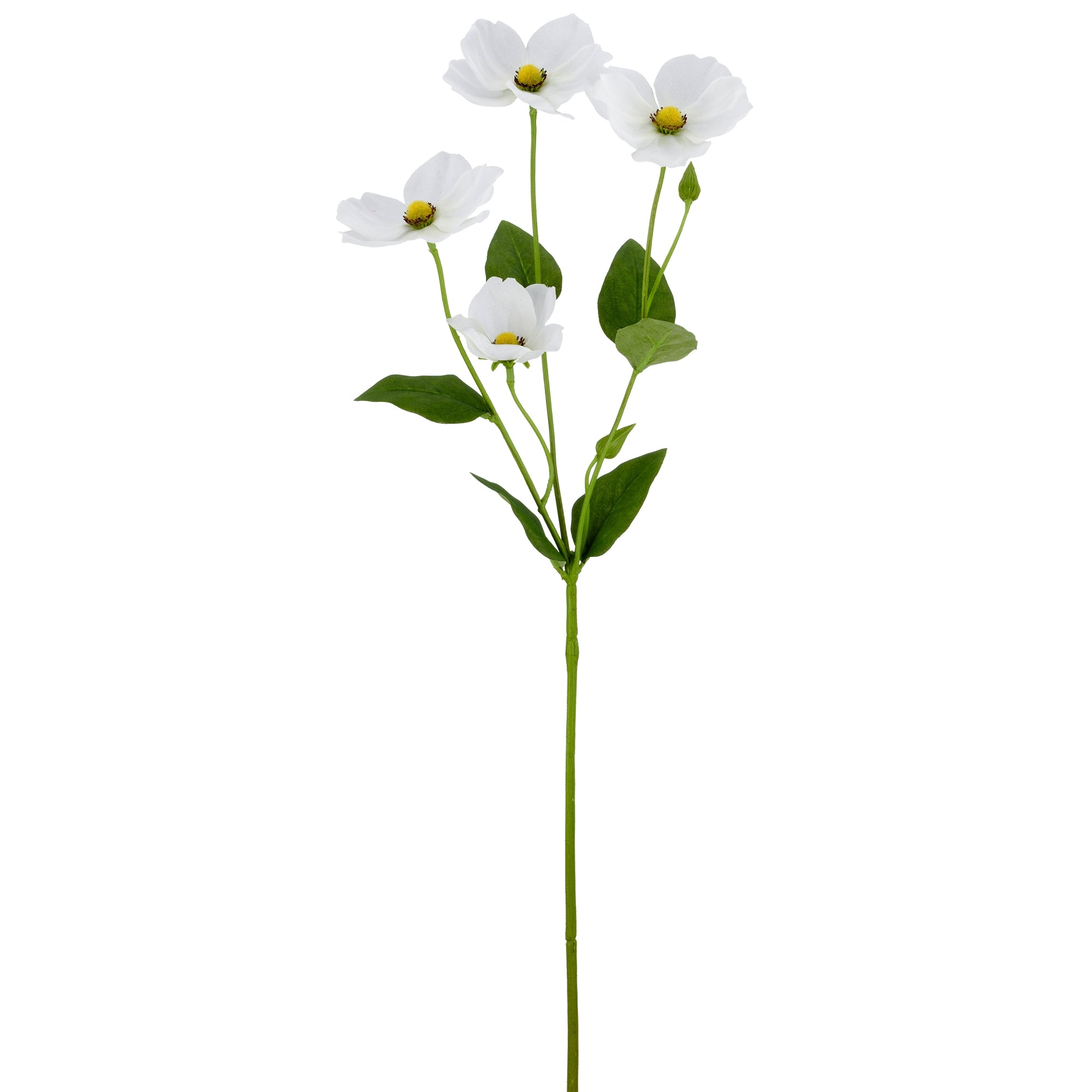Anemone hvid h 66cm