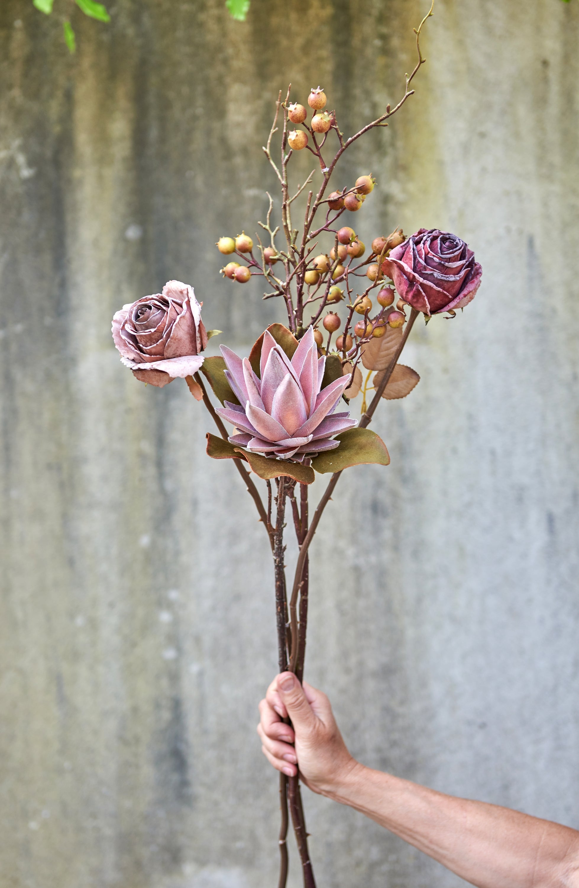 Rose stilk