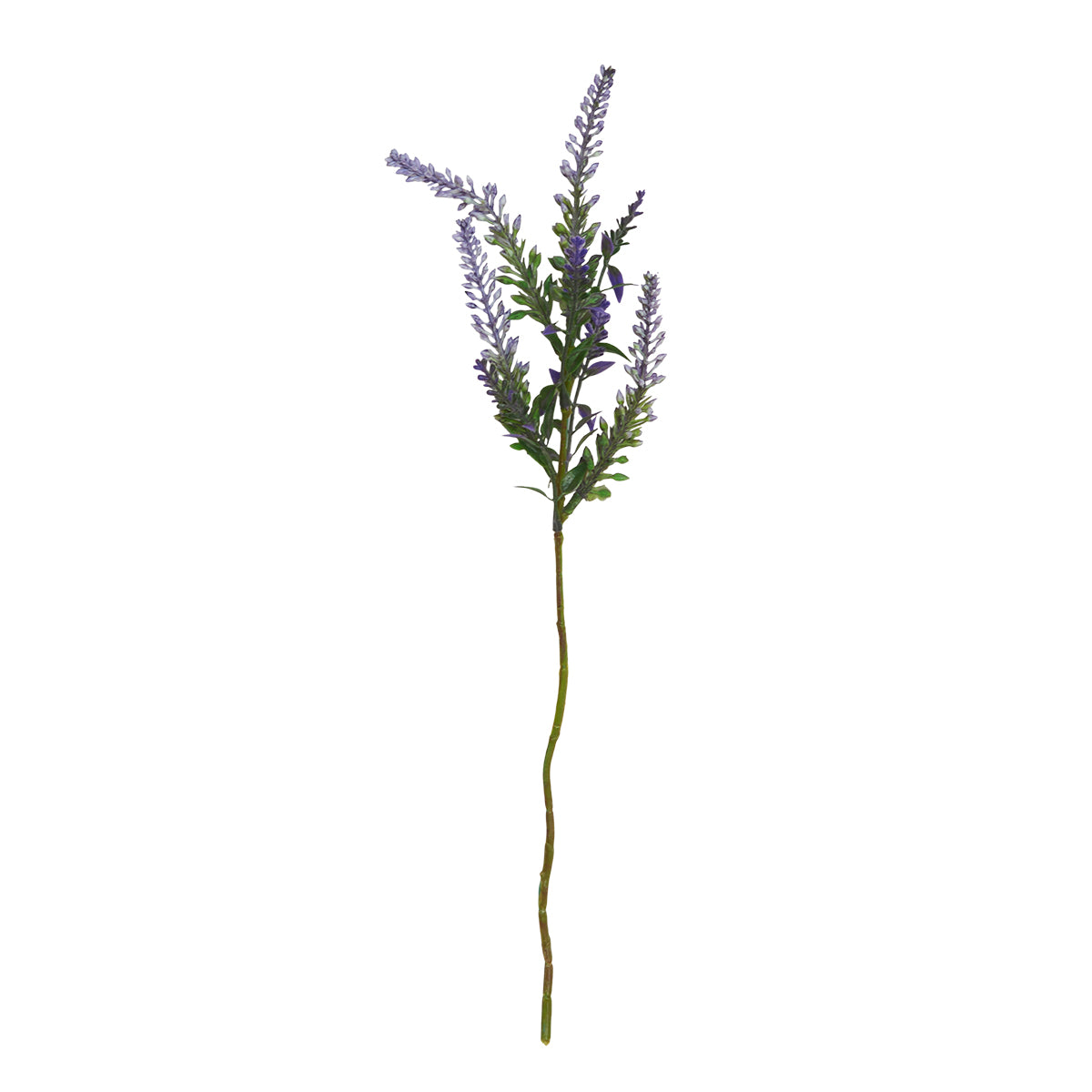 Lavendel stilk