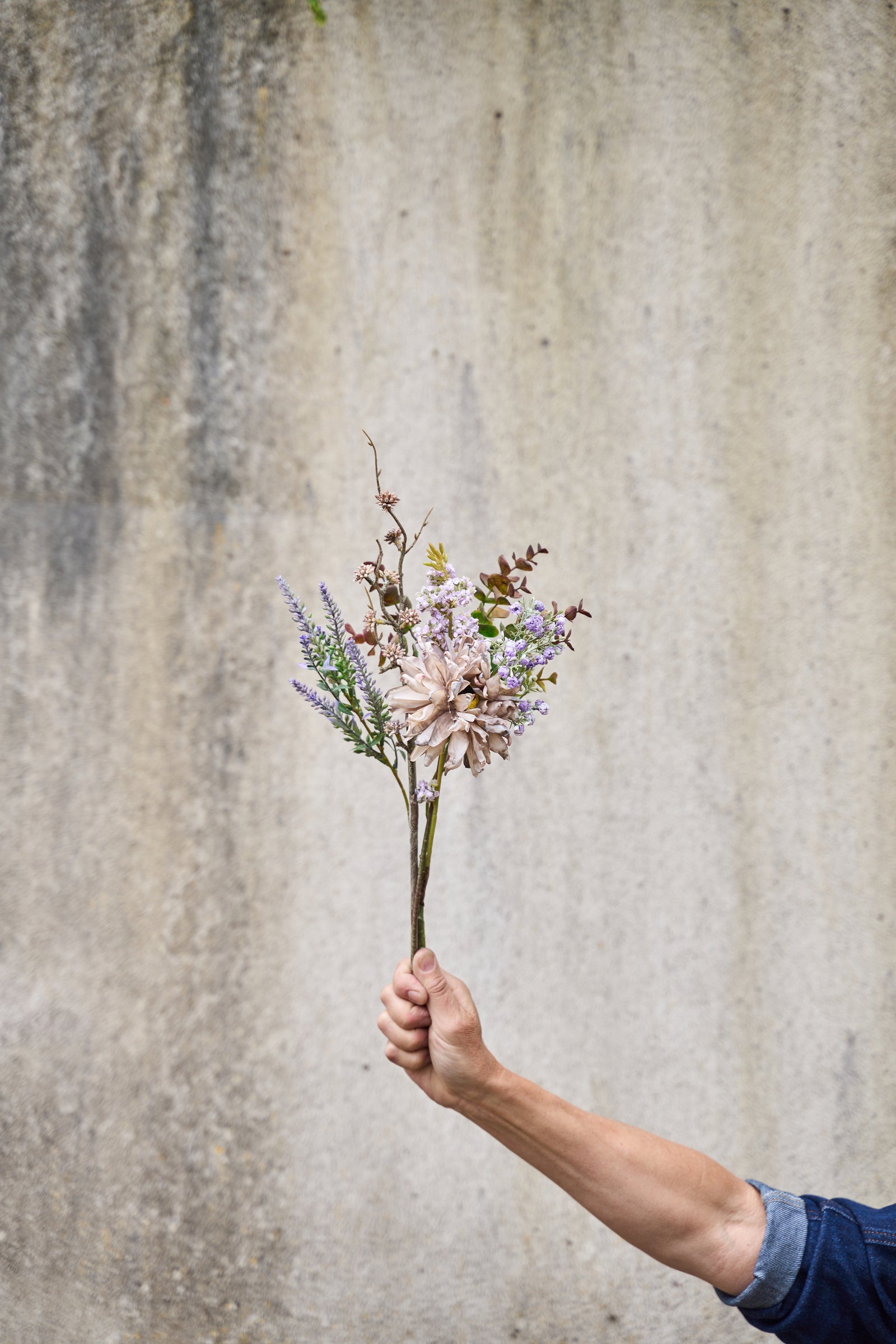 Lavendel stilk
