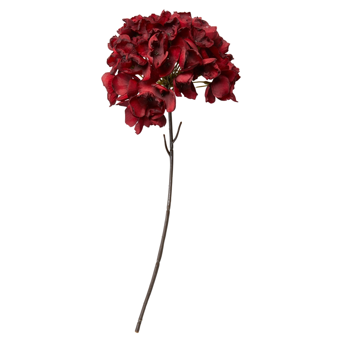 Hortensia stilk