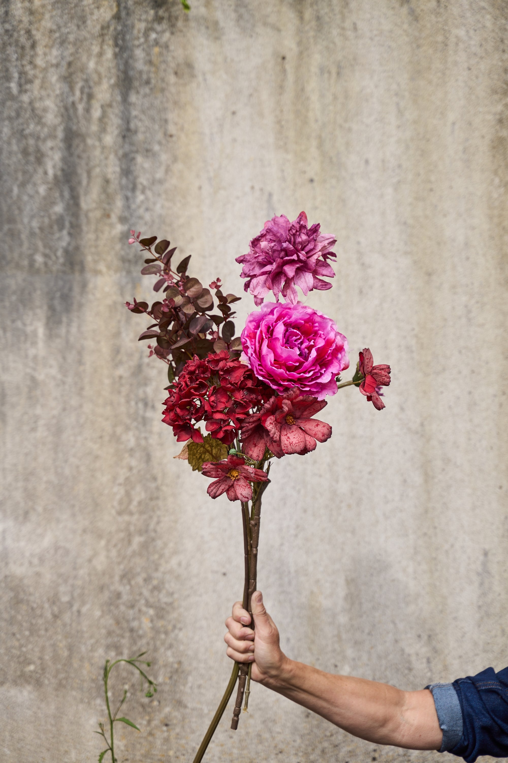 Hortensia stilk