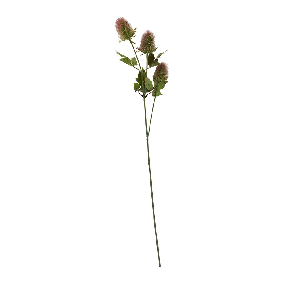 Tidsel stilk