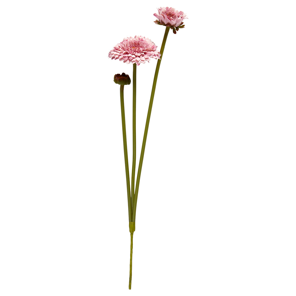 Tusindfryd stilk