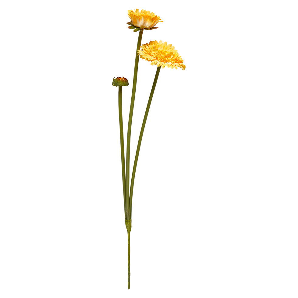 Tusindfryd stilk