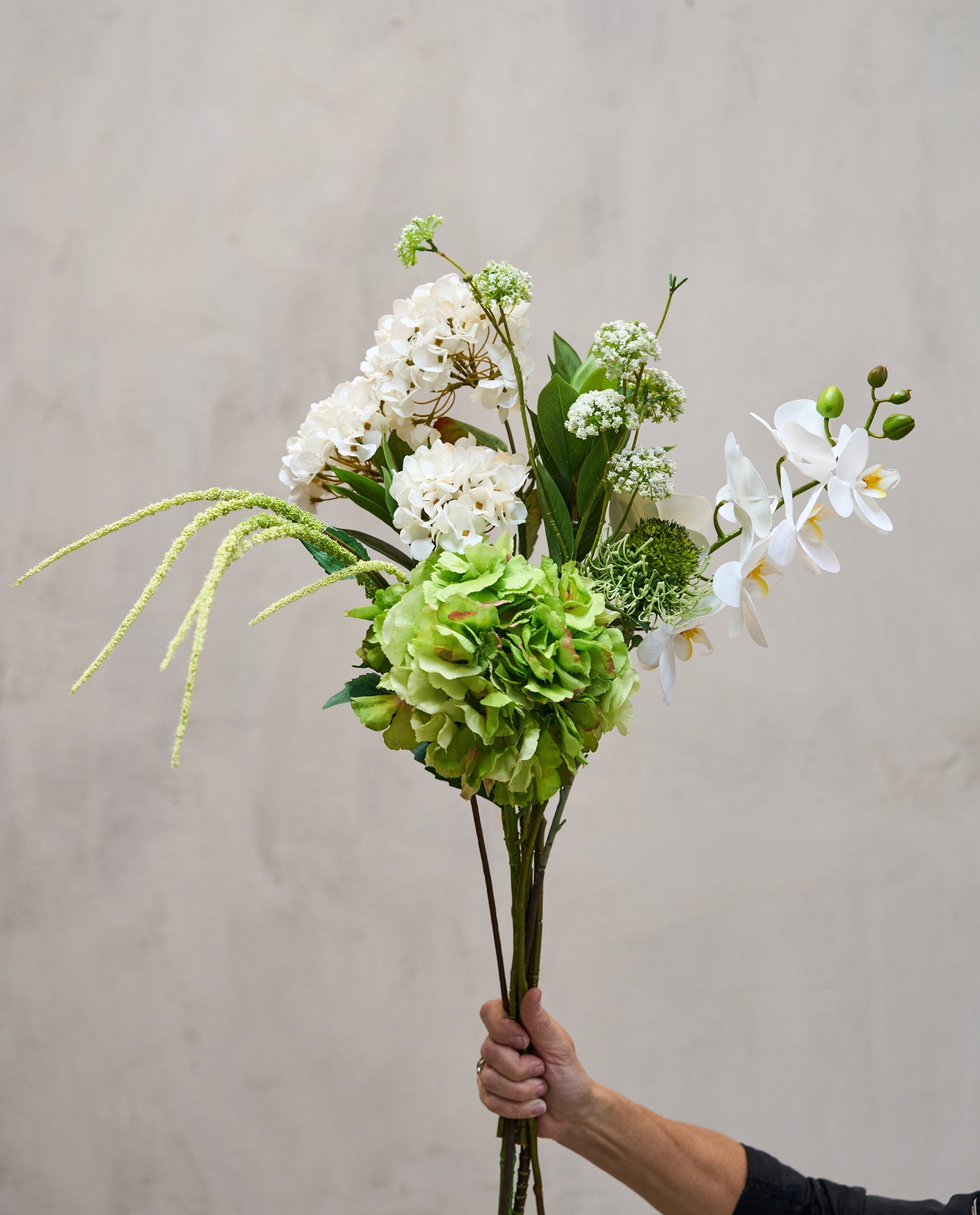 Protea Pincushion stilk