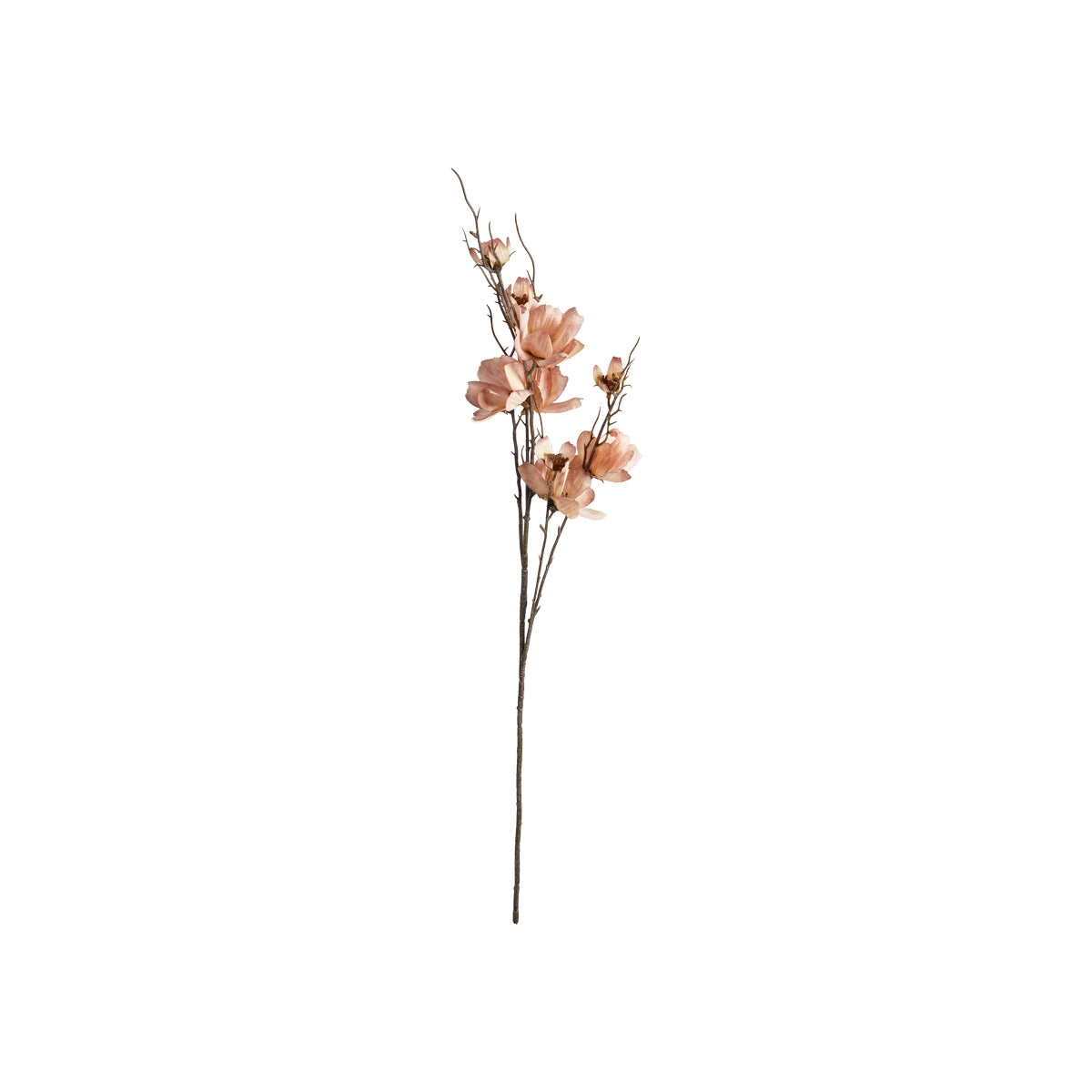 Blomster stilk