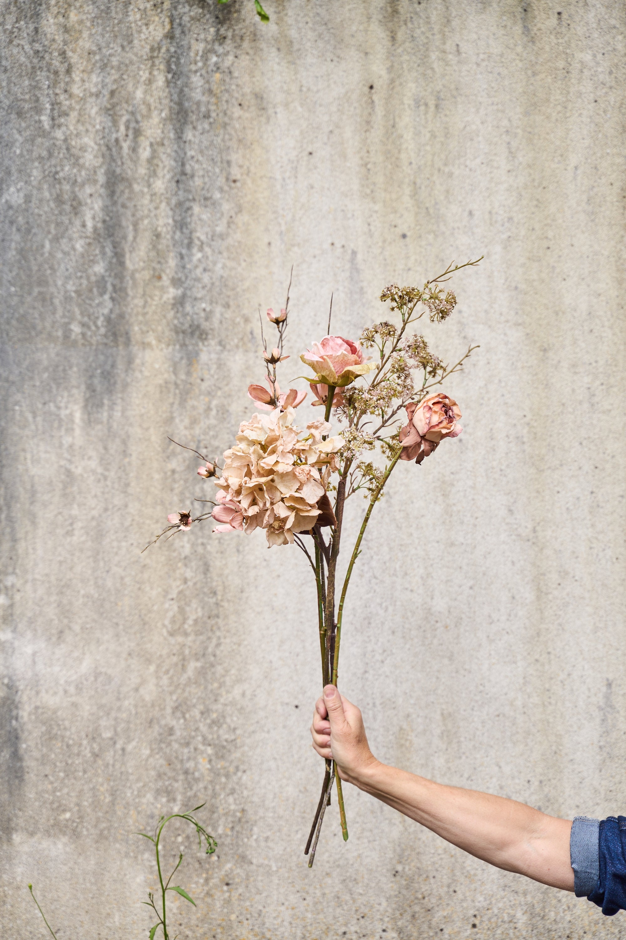 Blomster stilk