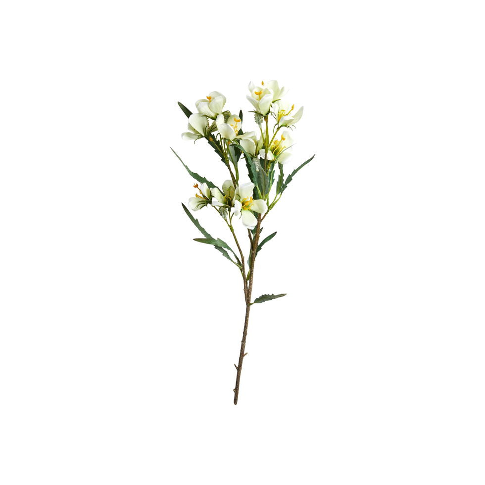 Spiræa stilk