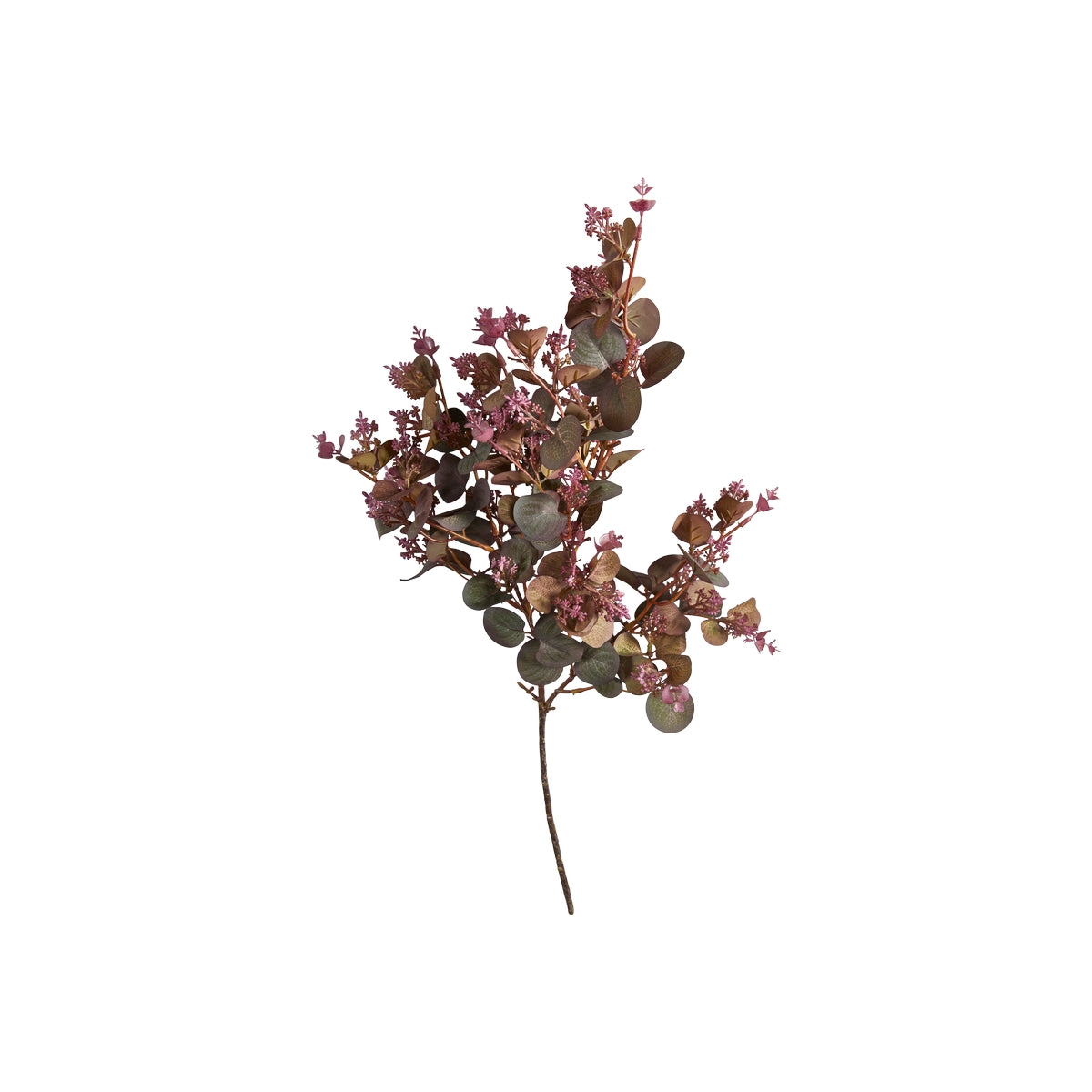 Eukalyptus stilk