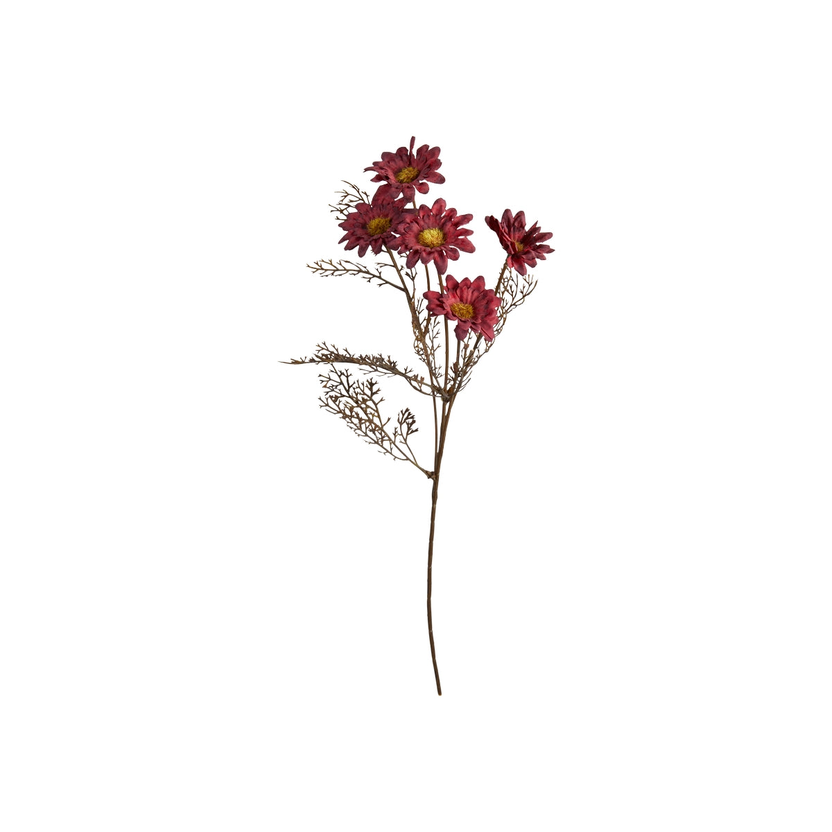 Krysantemum stilk