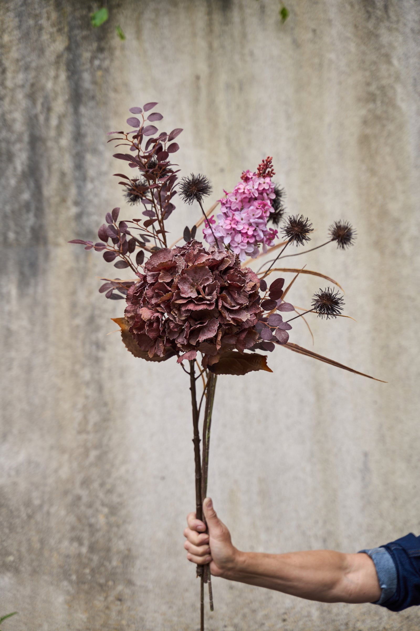 Hortensia stilk