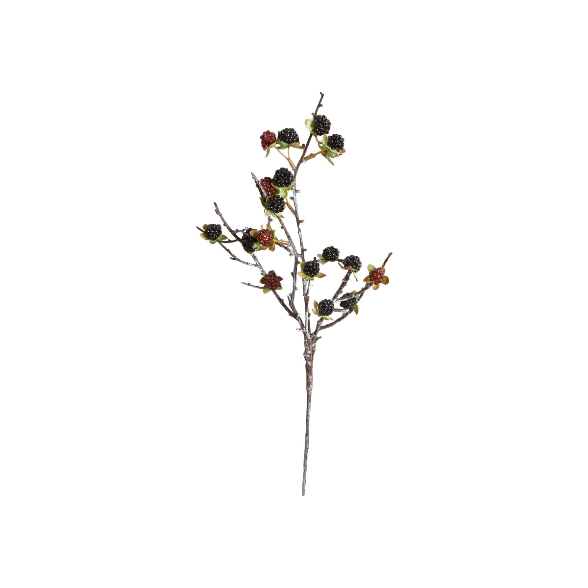 Hindbær gren 56cm
