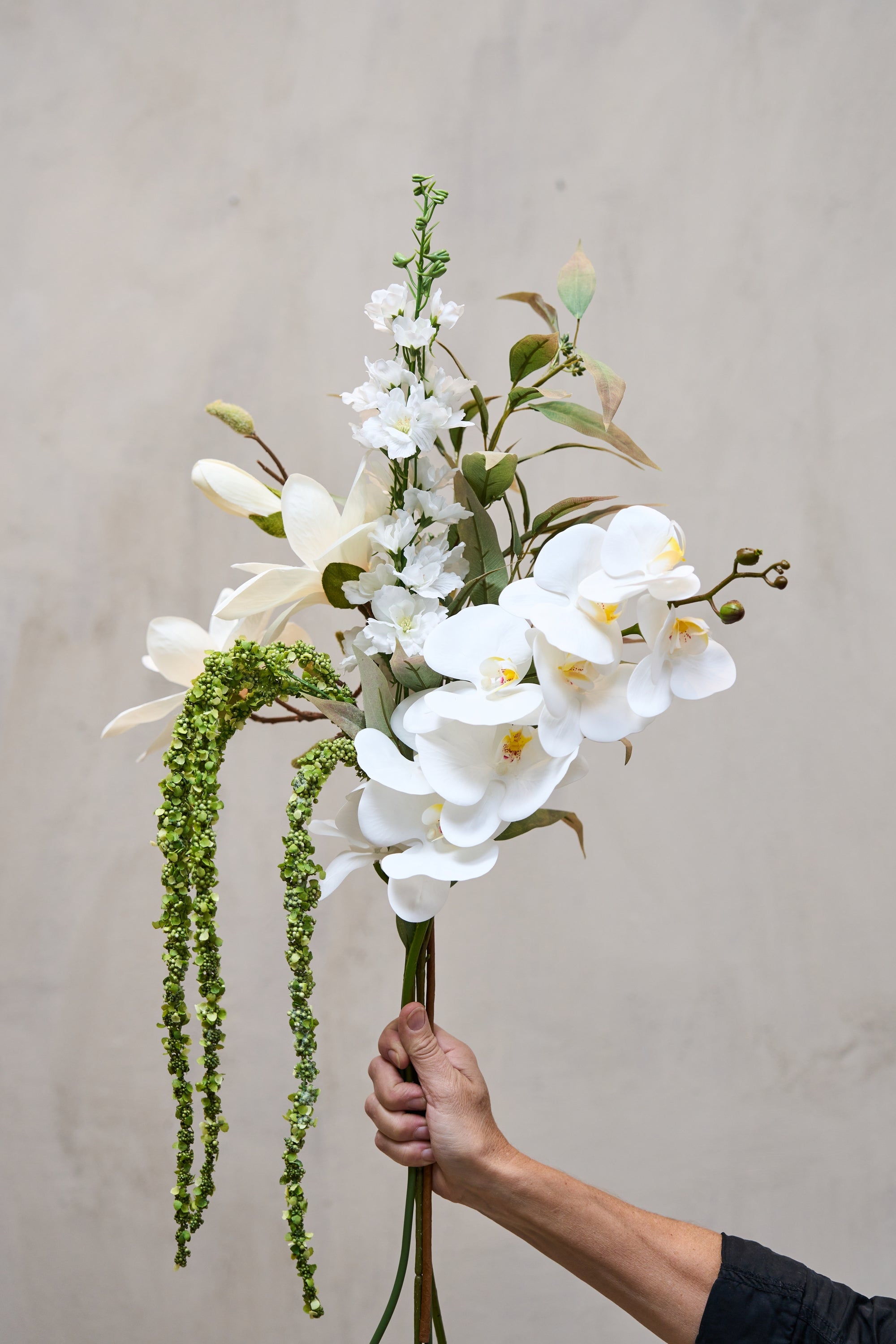 Magnolia stilk