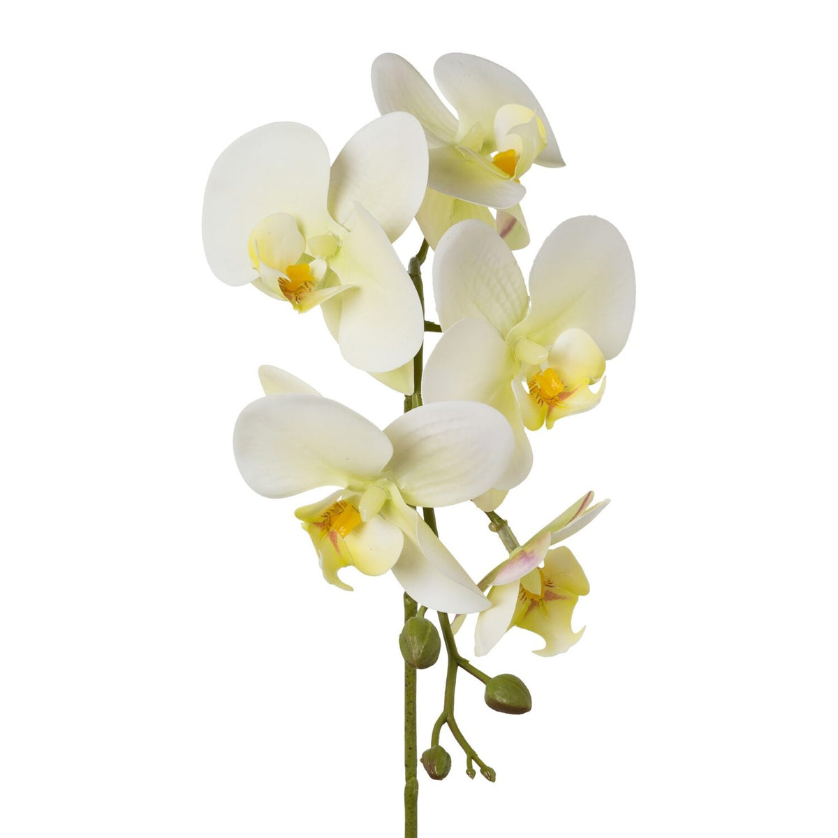 Orkide lys grøn h 45 cm Real touch