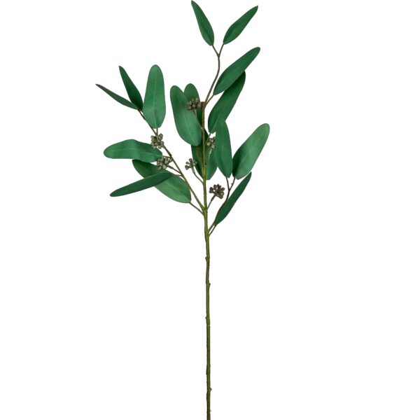 Eucalyptus h 66 cm