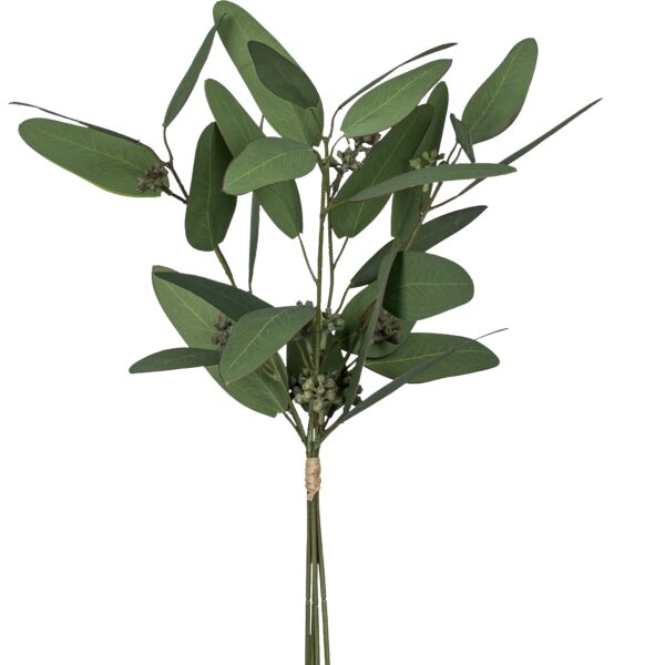 Eucalyptus bundt h 38 cm