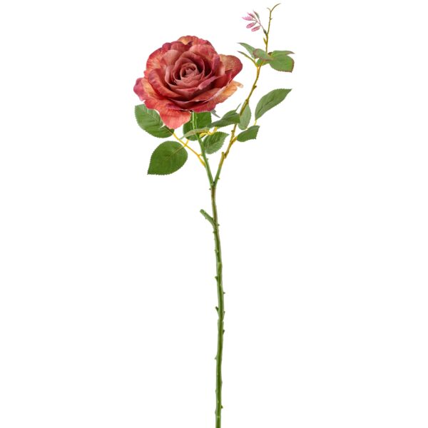 Rose peach h 72 cm