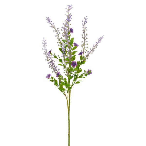 Phytolacca lilla h 72cm