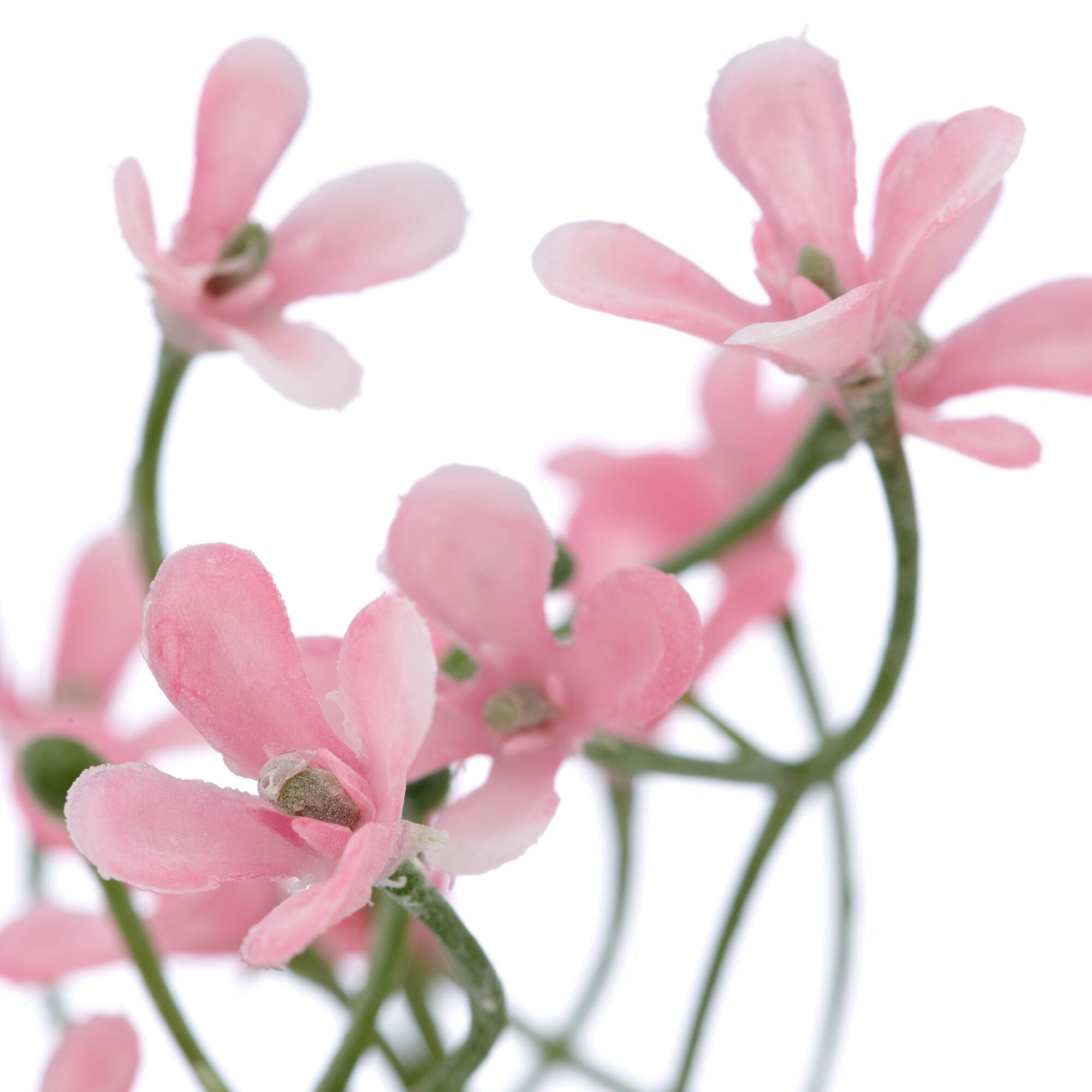 Brudeslør gren rosa h 69cm