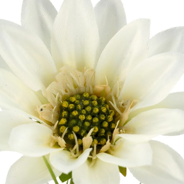 Daisy marguerit hvid h 63cm