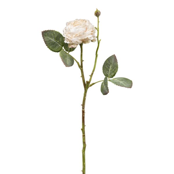 Rose vintage creme h 45 cm