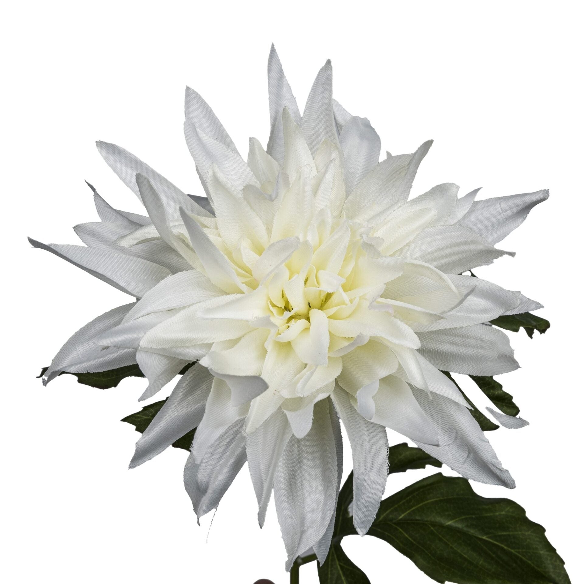 Dahlia hvid h 65 cm